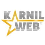 شرکت طراحی سایت کارنیل وب
